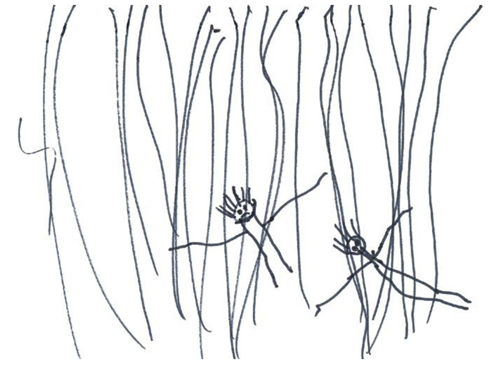 Drawing by preschool age girl, detained 420 days