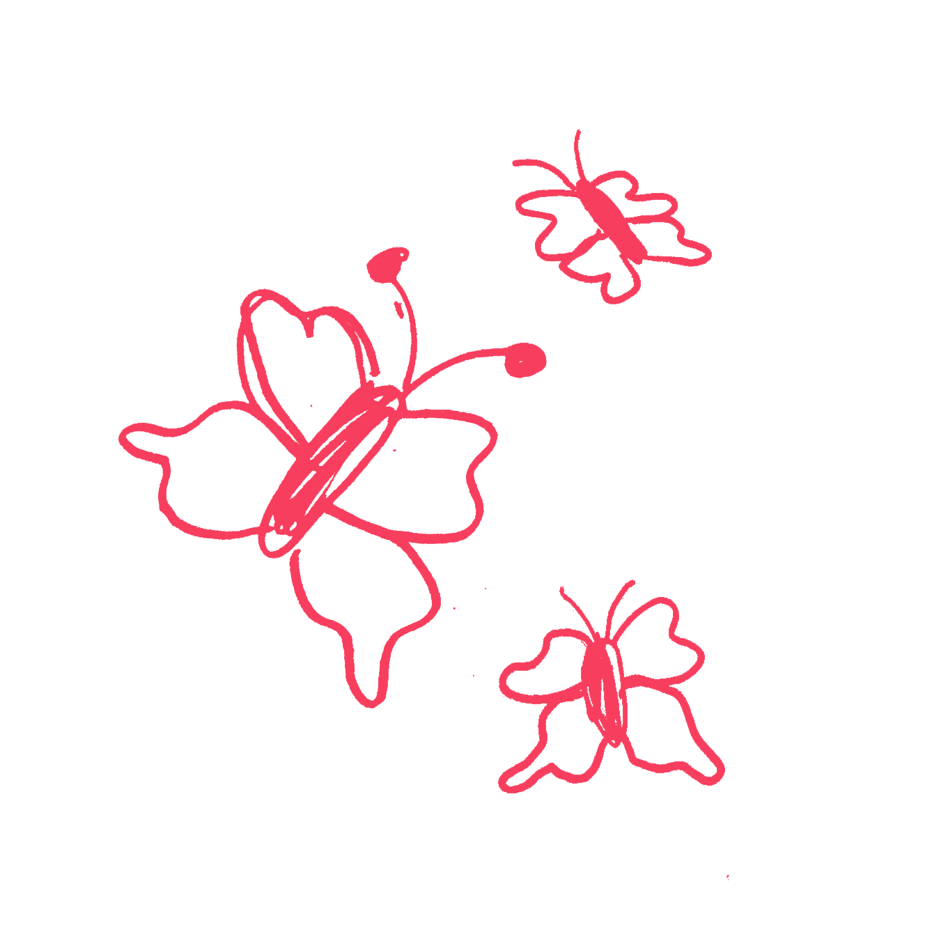 Illustrations of three butterflies